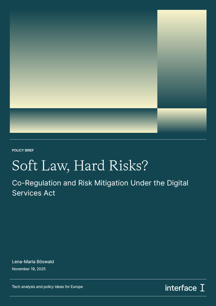 DSA Co-Regulatory Mechanisms